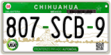 Chihuahua, Border zone (000-AAA-0)