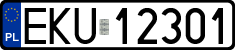 License plates of Poland, Regular car plates