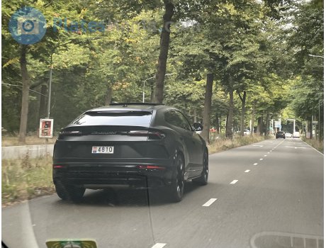481Q, Lamborghini Urus