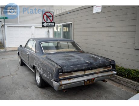 VIK 274, Pontiac Tempest