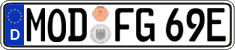 German license plate, Electric vehicles