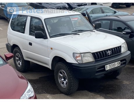 B 3099 SW, Toyota Land Cruiser Prado