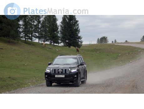 о800на124, Toyota Land Cruiser Prado