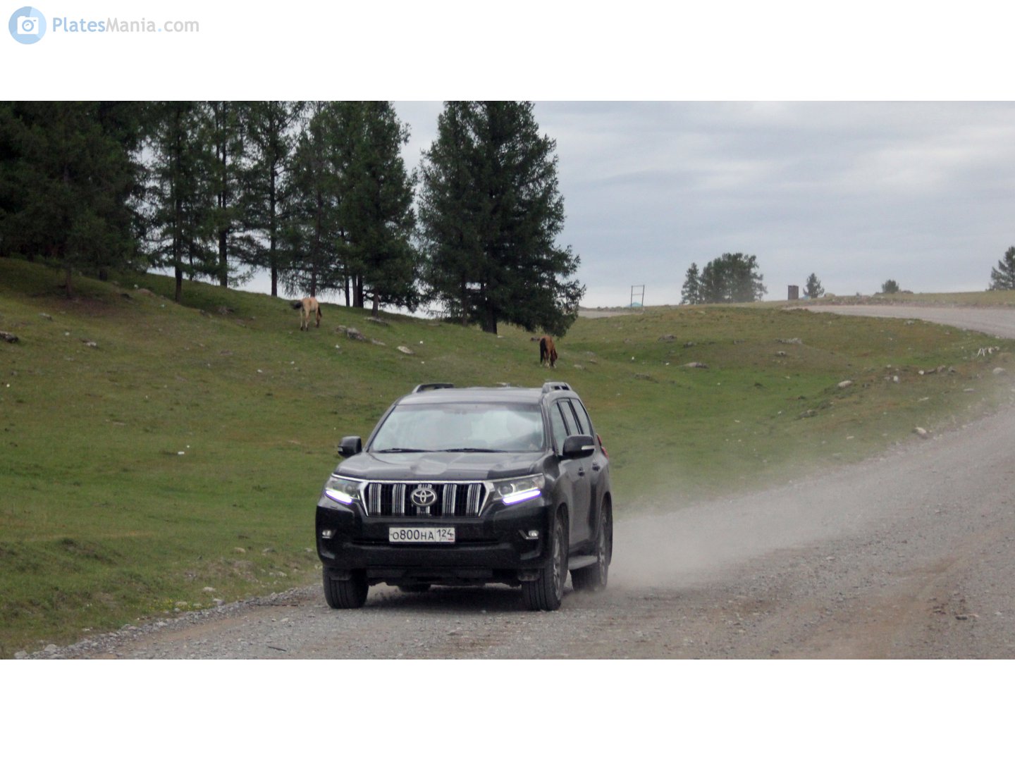 о 800 на 124, Toyota Land Cruiser Prado 4th gen 5-door SUV (J150), 2nd facelift, 2017–2023