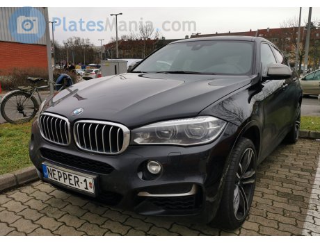 NEPPER-1, BMW X6