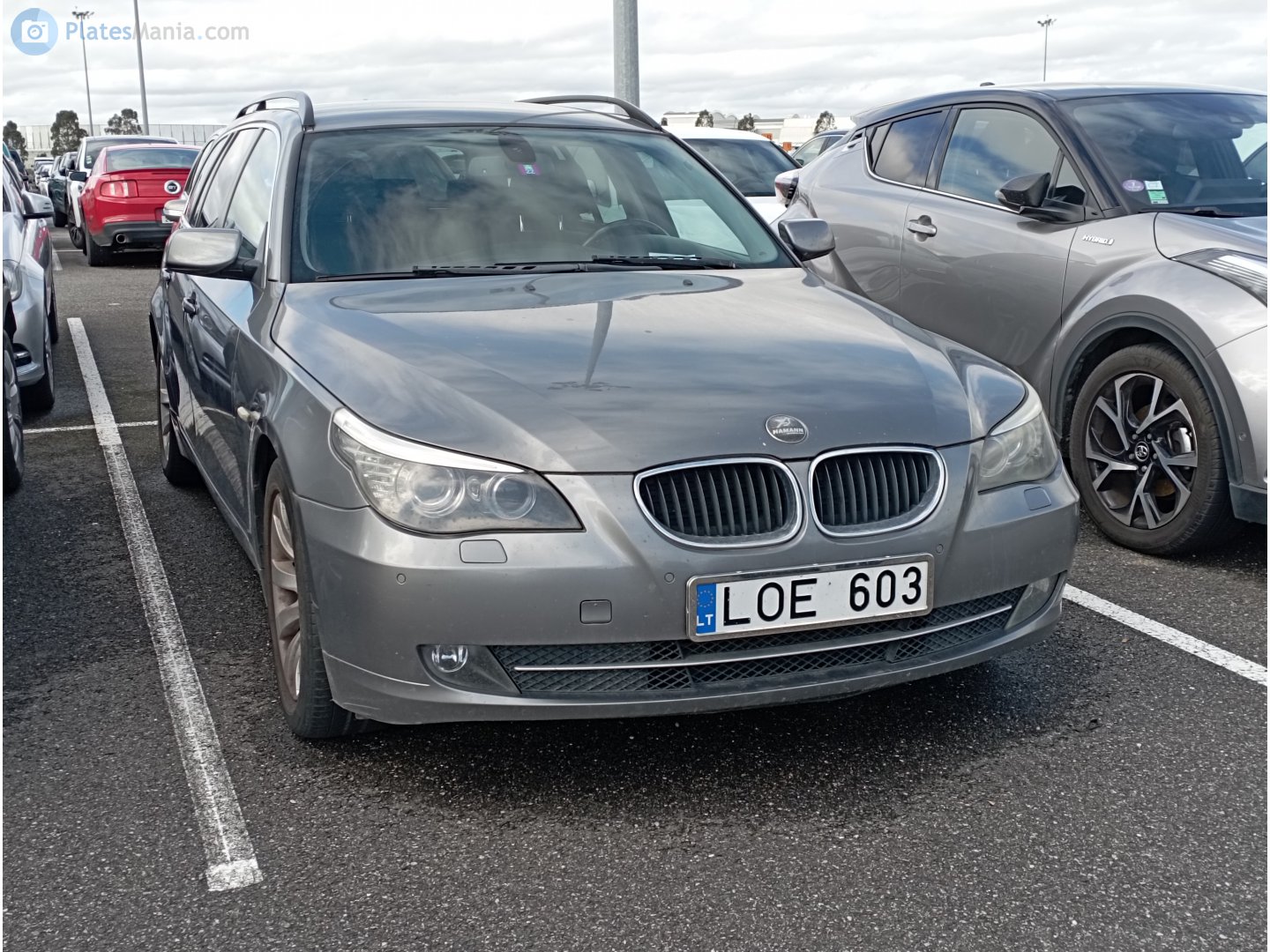LOE 603, BMW 5 Series 5th gen Touring (E61), 2004–2010