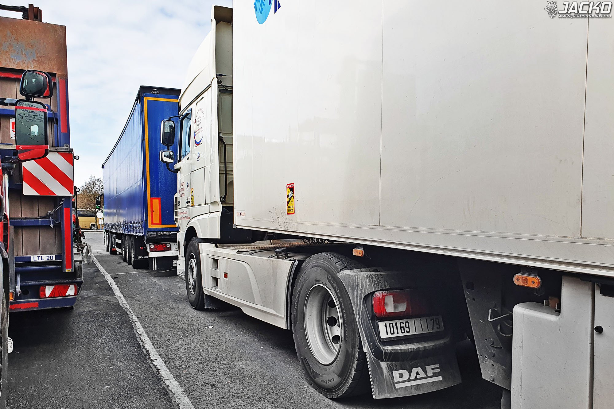 10169|أ|79, DAF XF 4th gen, 2013–2017