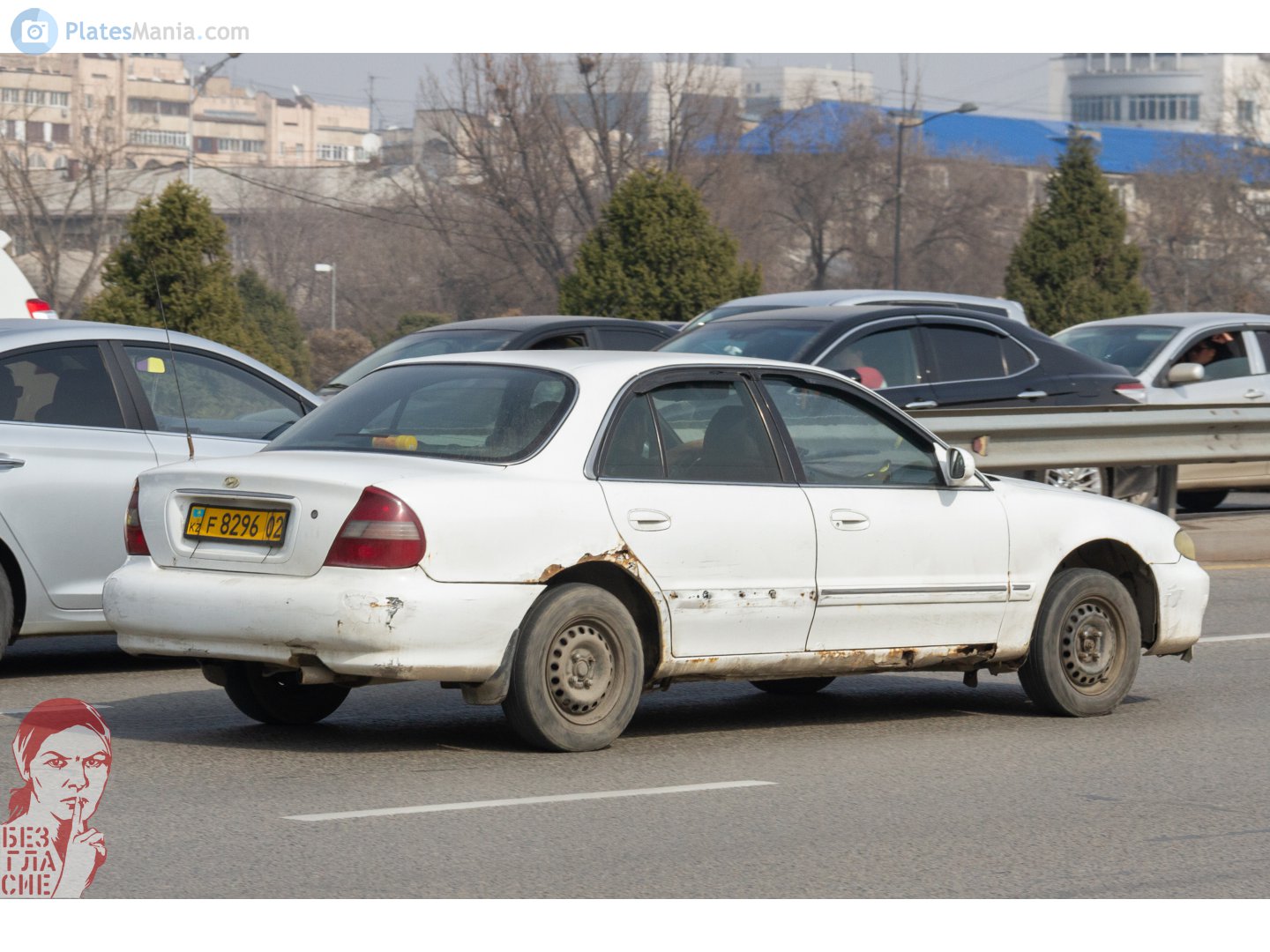 F 8296 02, Hyundai Sonata 3rd gen (Y3), facelift, 1996–1999