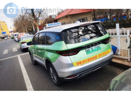 鲁B·DL1586, Maple 80V