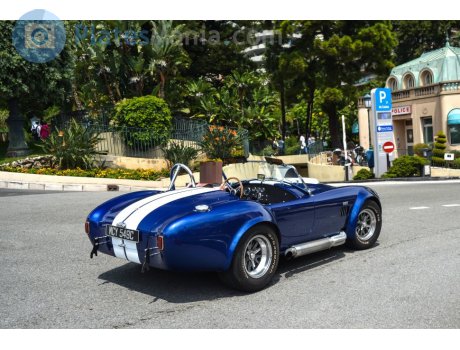 MCY 549C, Superformance Cobra