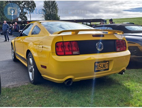 MU54 NGT, Ford Mustang