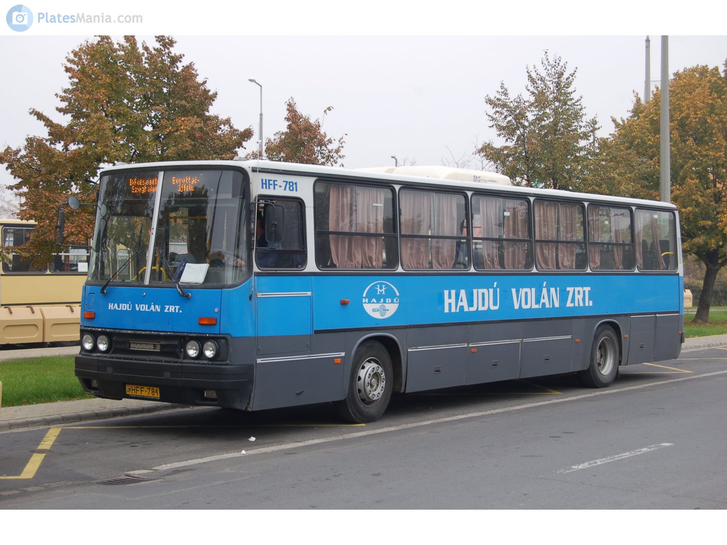HFF-781, Ikarus 256 
