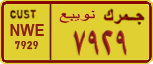 License plate of Egypt, Cars (1999)