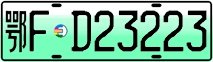 License plate of China, Electric vehicles