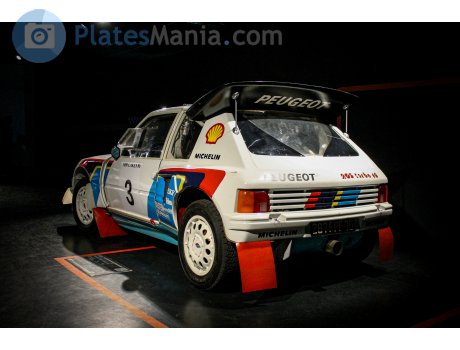 287 FPF 75, Peugeot 205