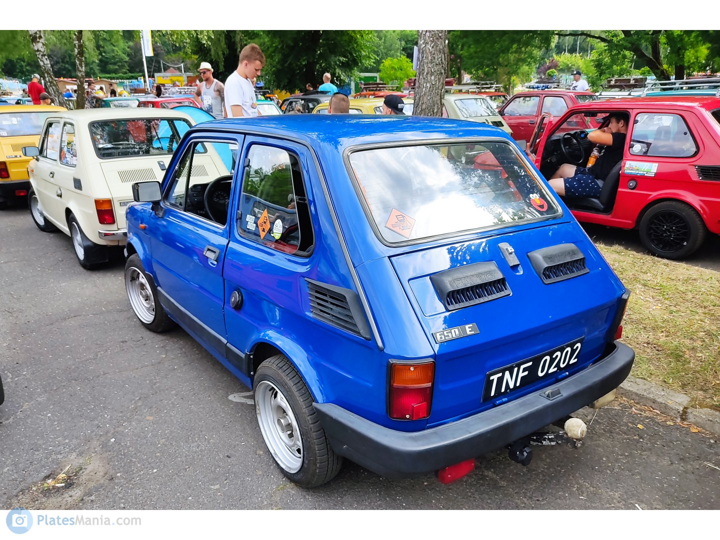 TNF 0202, Polski Fiat 126p 126p 600/650/FL, 1973–1994