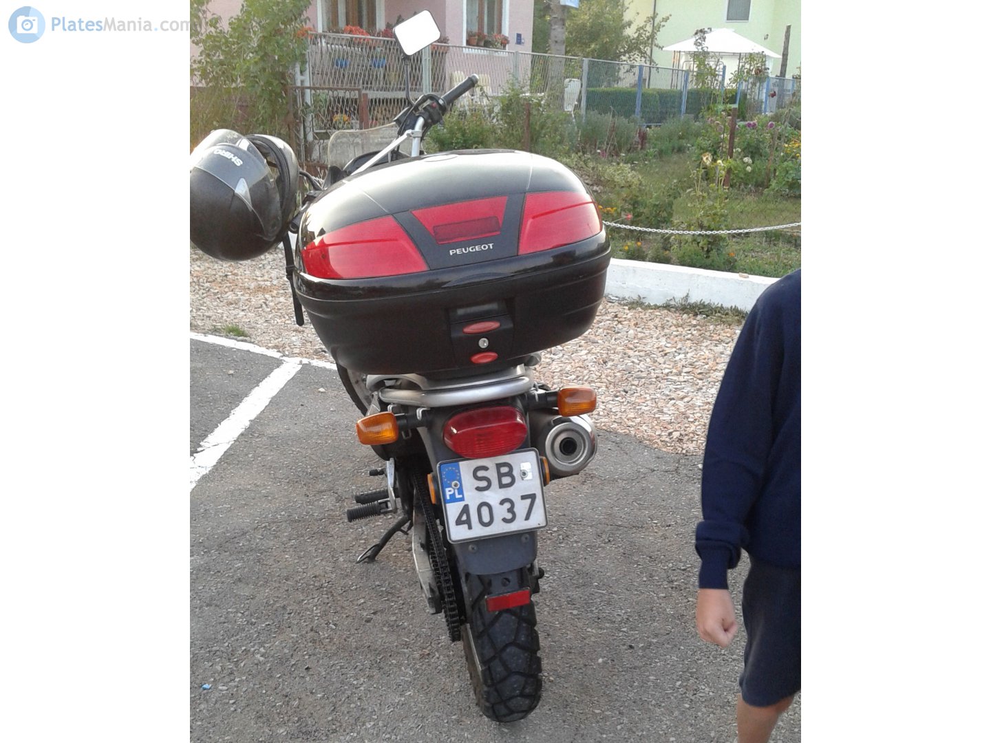 SB 4037, Suzuki XF 650 Freewind 