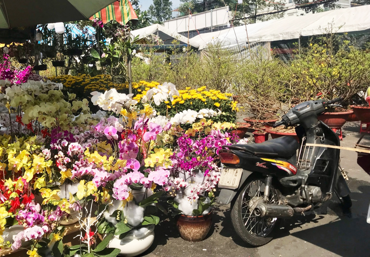 51-T4 8200, Suzuki Viva 