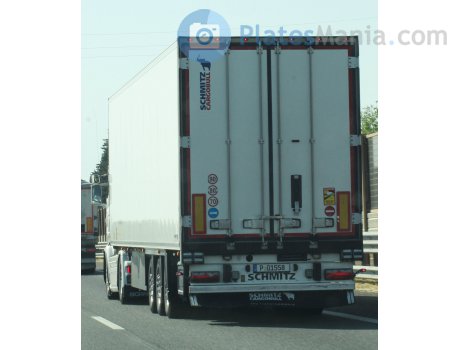 P 01558, Schmitz SKO