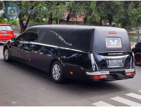 B 1229 UIX, Mitsuoka Galue