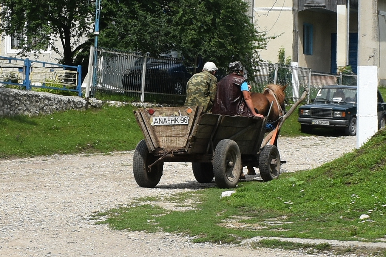 ANA HK 96, License plate without vehicle 