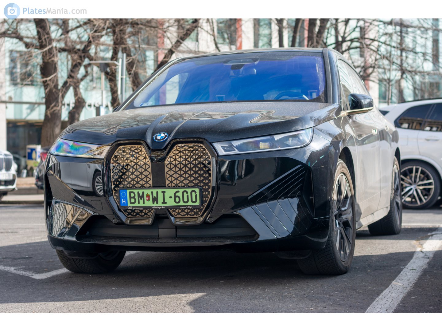 BM WI-600, BMW iX 1st gen (i20), 2021–