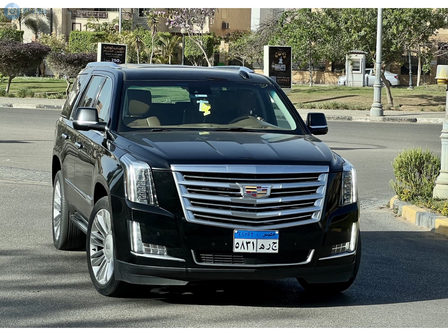 "٥٨٣١ ھرج" photos Cadillac Escalade. Egypt