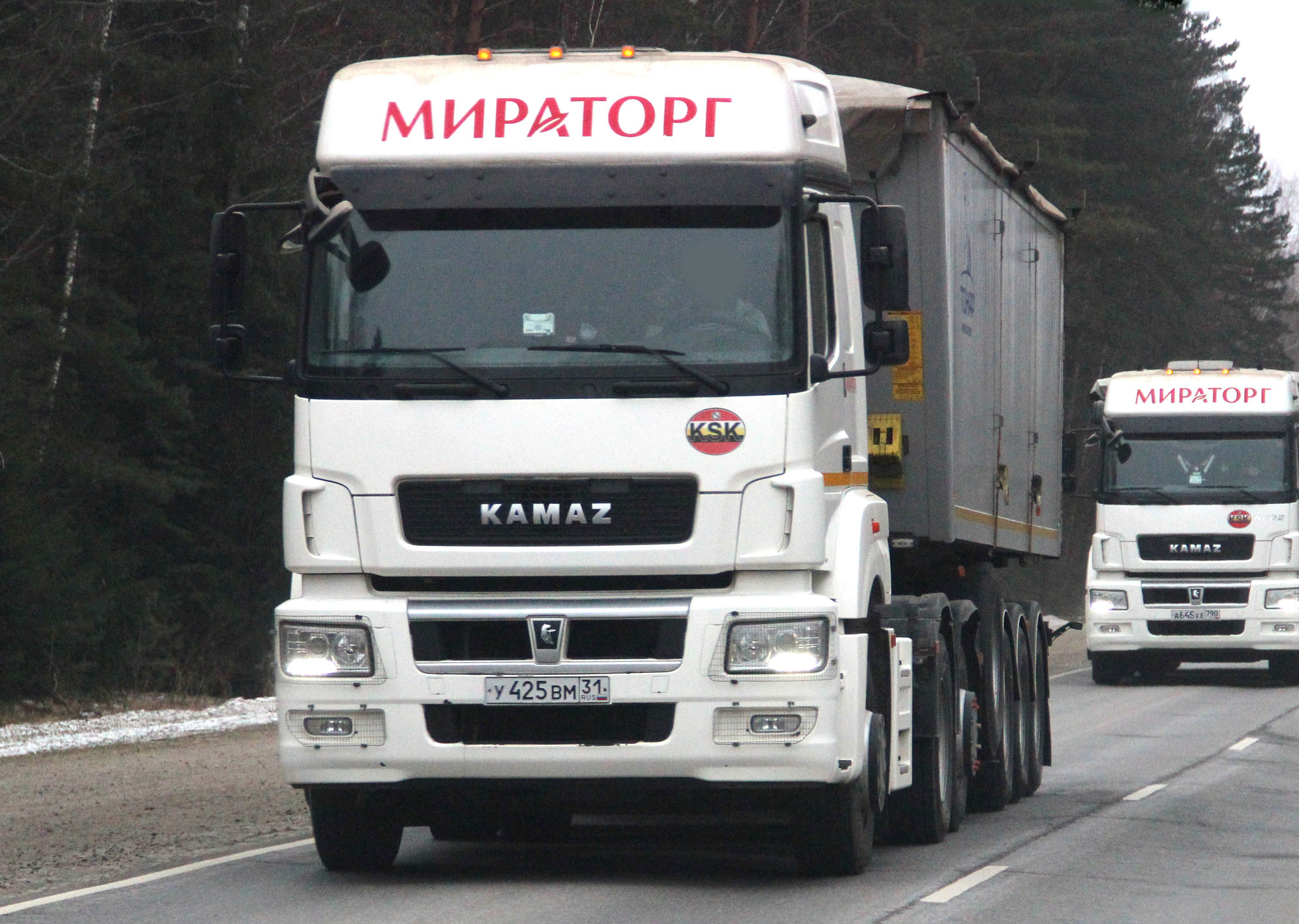 у 425 вм 31, KamAZ 6520 