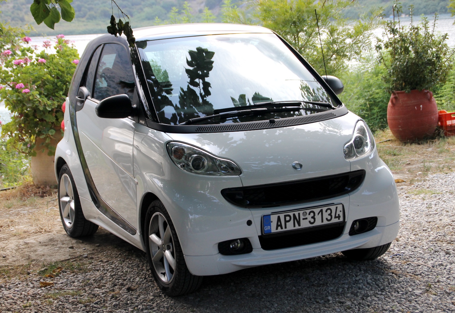 APN-3134, Smart ForTwo 2nd gen (C451), 2007–2015