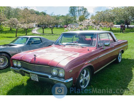 AX 45023, Buick Skylark