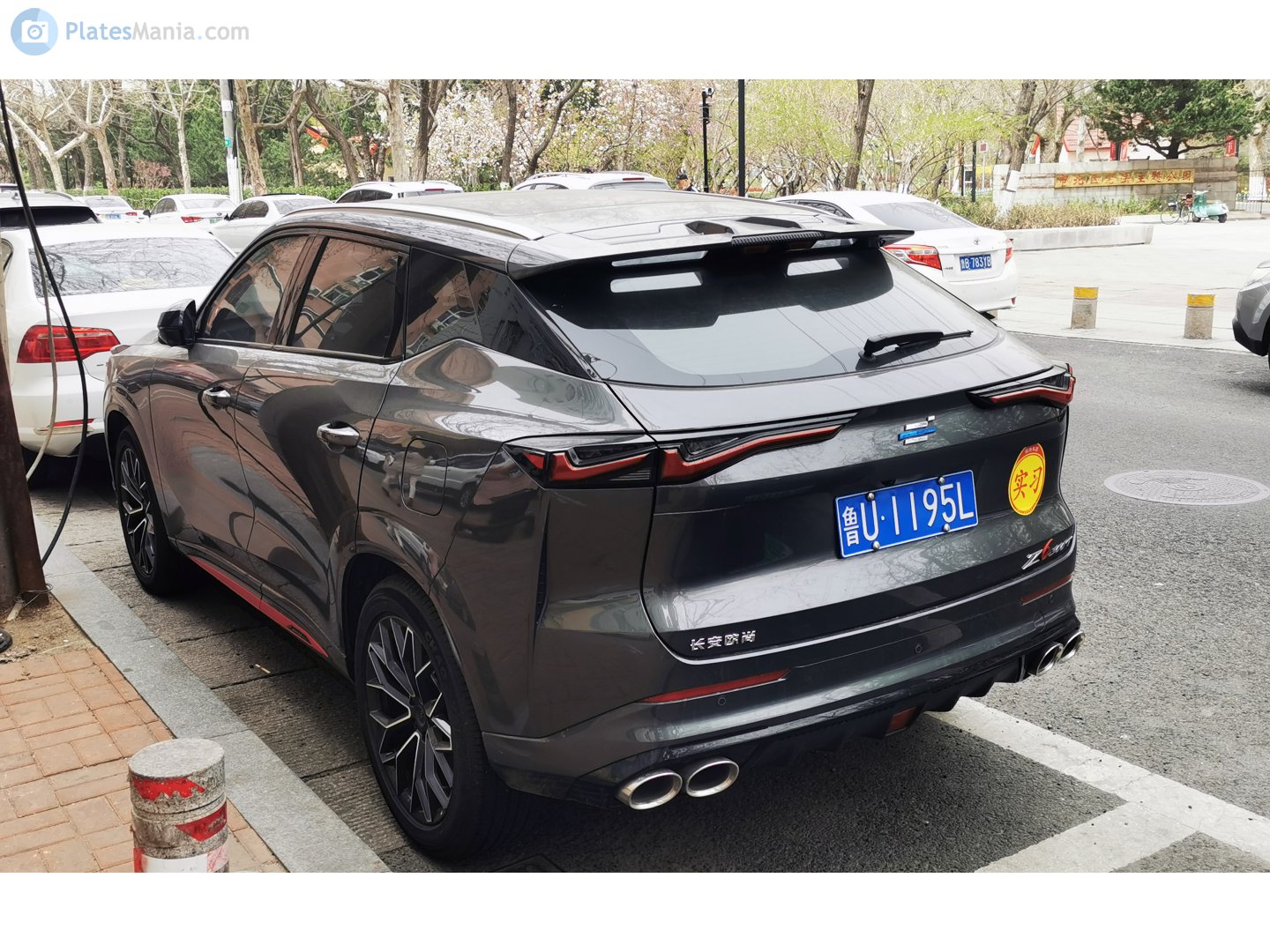 鲁U·1195L, Oshan (Oushang) Z6 