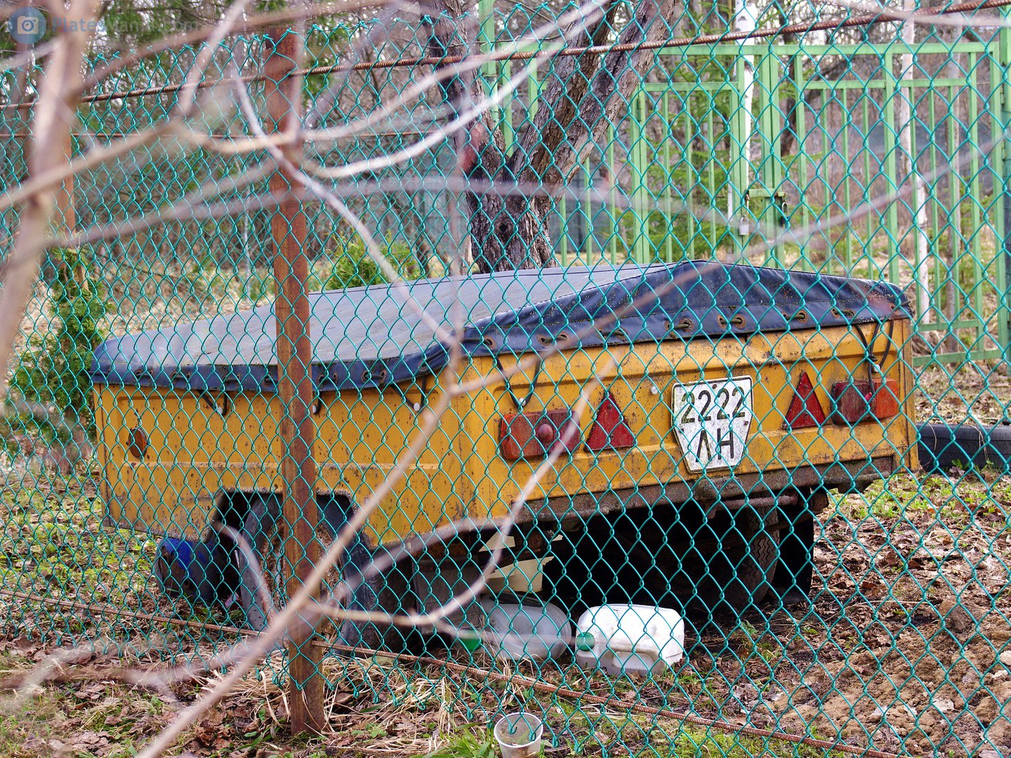 2222 ЛН, MAZ 8111/8114 