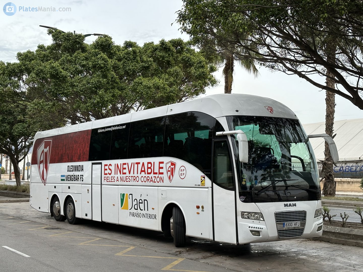 8300 HFJ, Tata Hispano Xerus 