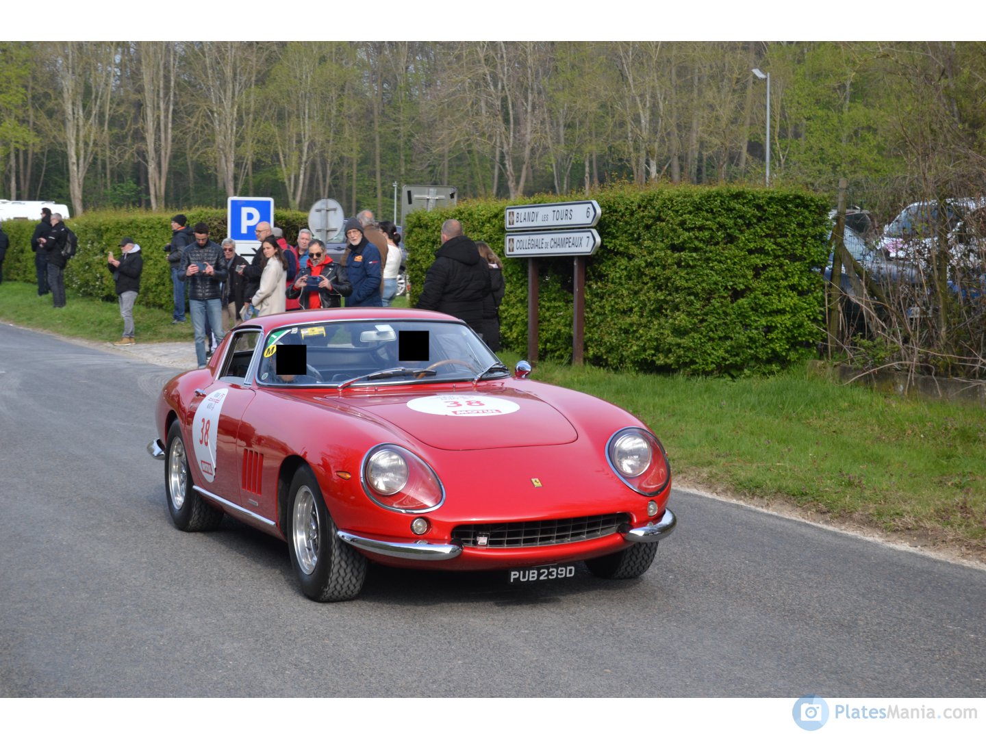 PUB239D, Ferrari 275 275 GTB (1964–1968)