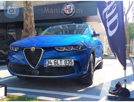 34 GLT 035, Alfa Romeo Tonale