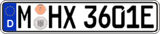 German license plate, Electric vehicles