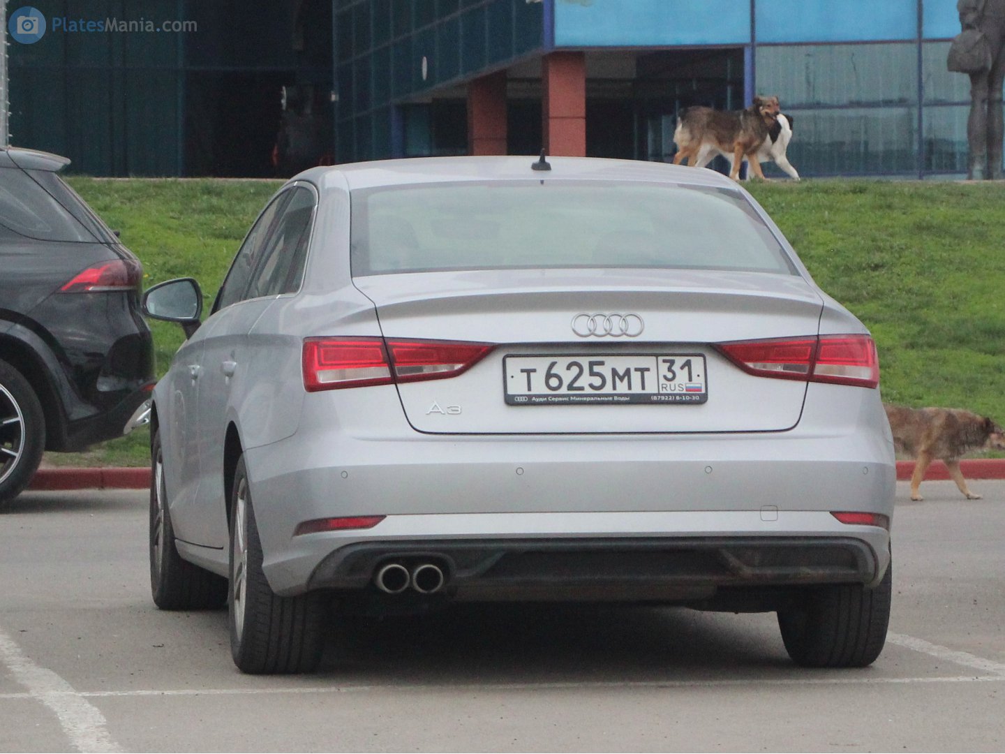 т 625 мт 31, Audi A3 3rd gen Sedan (8VS/8VM), facelift, 2016–2020