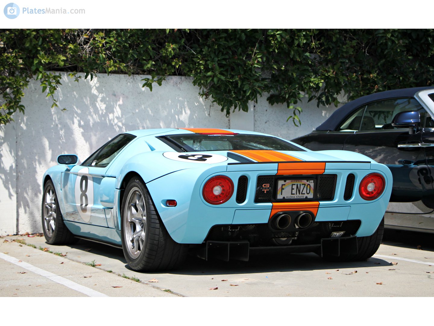F ENZO, Ford GT 1st gen (S361), 2004–2006