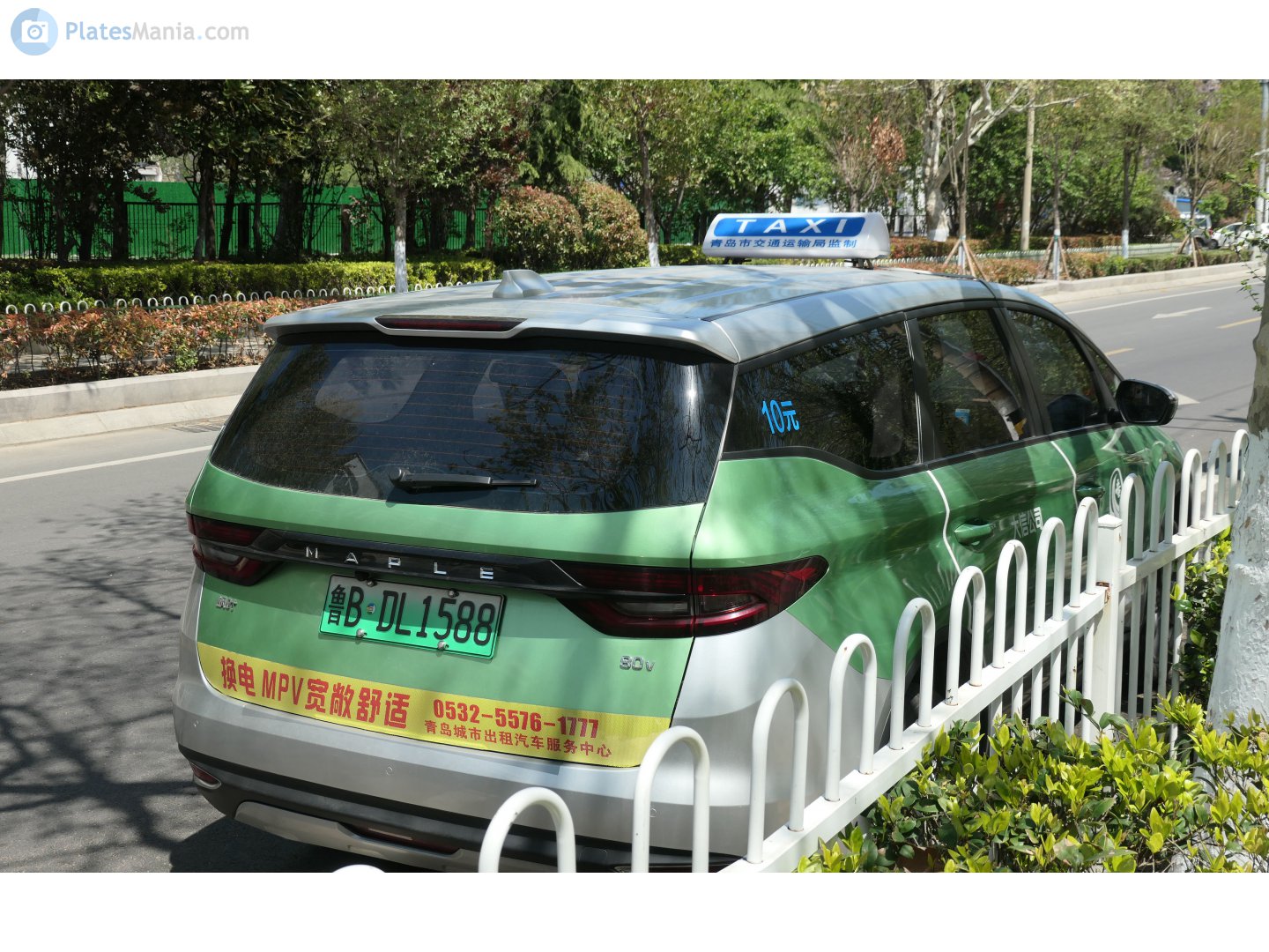 鲁B·DL1588, Maple 80V 