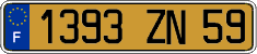 French license plate, FNI