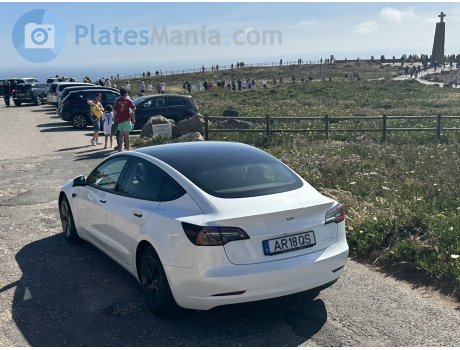 AR 18 QS, Tesla Model 3