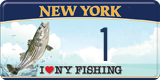 New York, Specialty plates