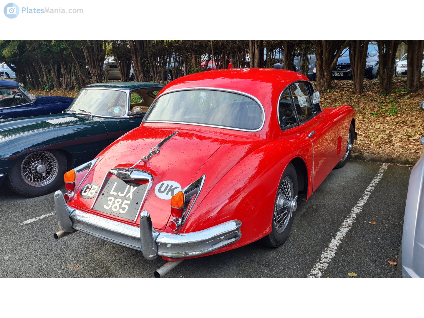 LJX385, Jaguar XK150 