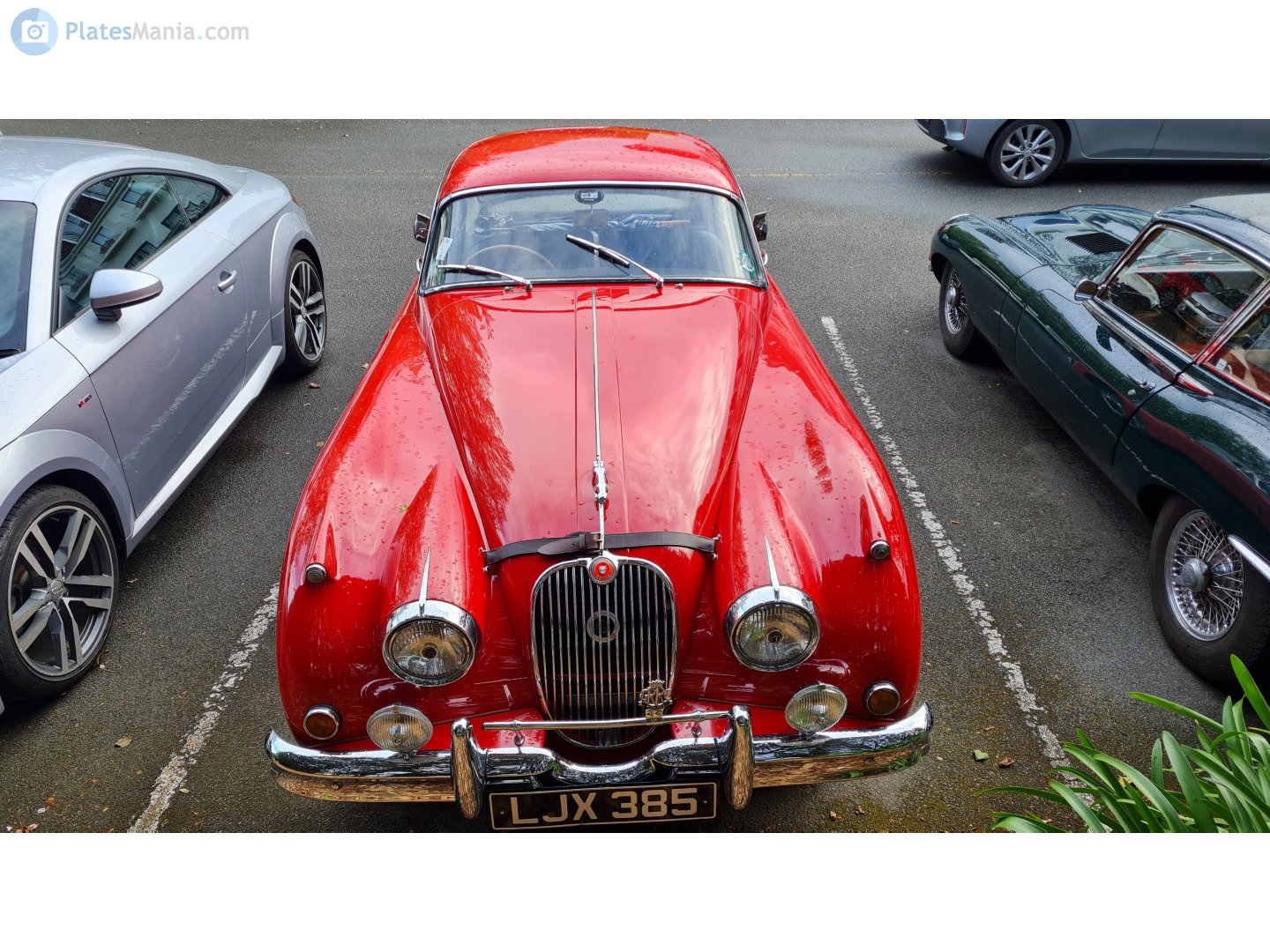 LJX385, Jaguar XK150 