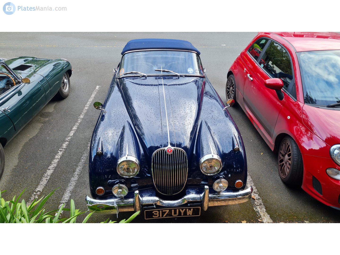 317UYW, Jaguar XK150 