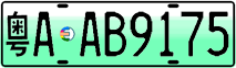 License plate of China, Electric vehicles