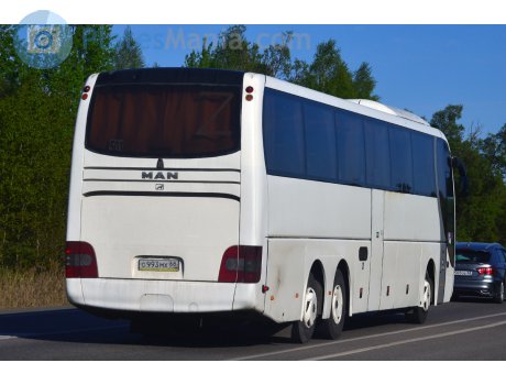 о993мх68, MAN Lion