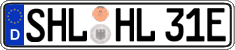 German license plate, Electric vehicles
