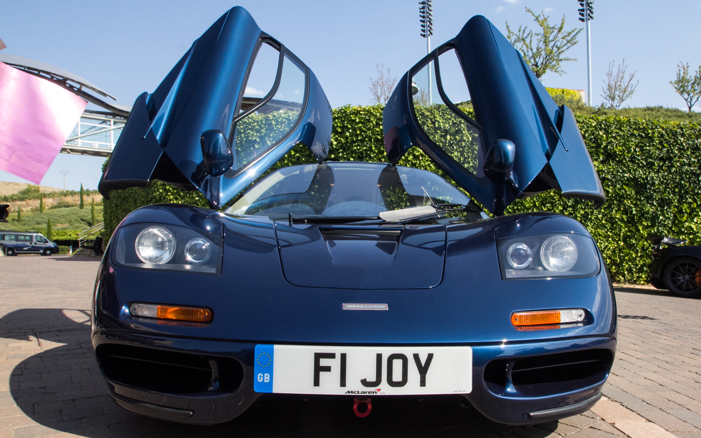 F1JOY, McLaren F1 F1, 1993–1998