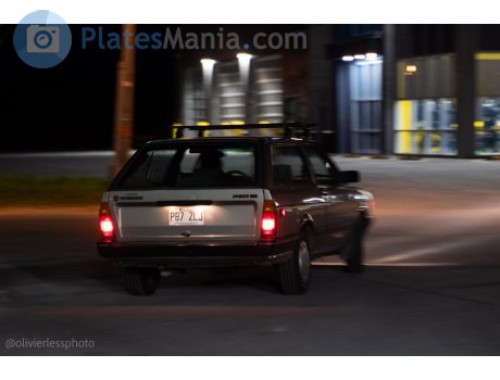 P87 ZLJ, Volkswagen Fox